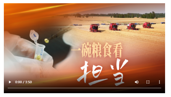 一碗糧食看擔(dān)當(dāng)丨牢記囑托“豫”爭先