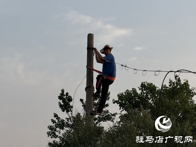 烈日下的堅(jiān)守：駐馬店聯(lián)通公司全力保障麥?zhǔn)占就ㄐ派€