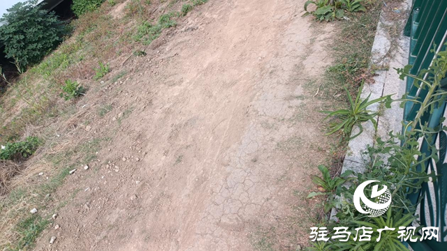 市民騎電動(dòng)車擠圍欄缺口存隱患 駐馬店人民公園管理方將封堵