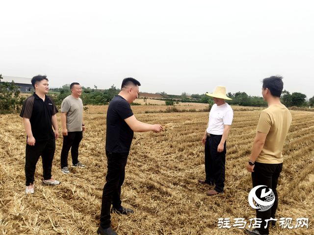 確山縣住建局：推進(jìn)秸稈禁燒宣傳 織密禁燒防護(hù)網(wǎng) 