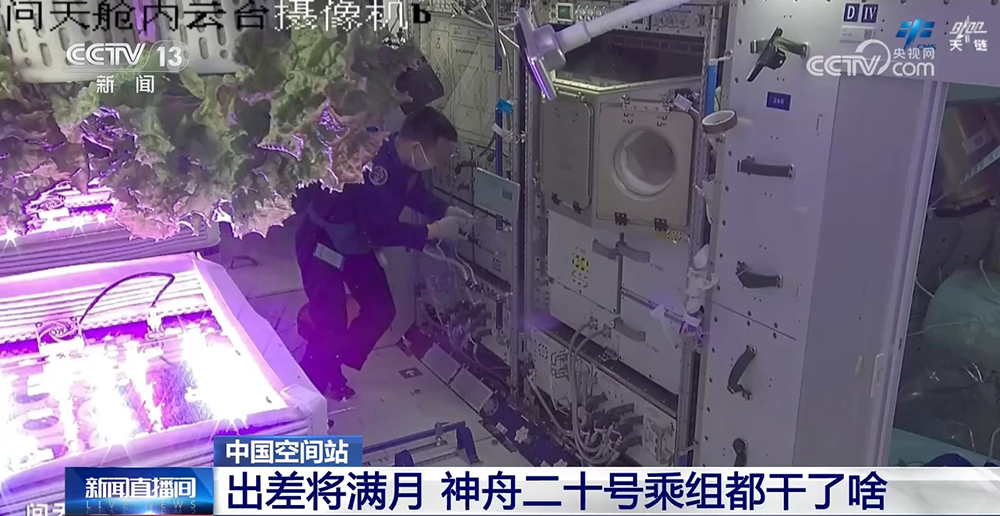 出差將滿月 一起看神舟二十號(hào)乘組都干了啥