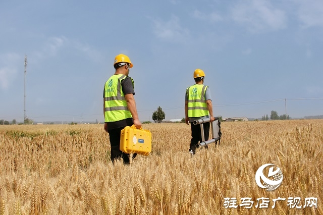 駐馬店移動西平分公司開展機(jī)房巡檢 全力保障通信網(wǎng)絡(luò)穩(wěn)定運(yùn)行