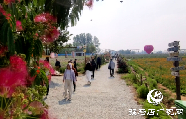 駐馬店驛城區(qū)魏莊村：百畝花?？楀\繡 文旅新篇引客來(lái)