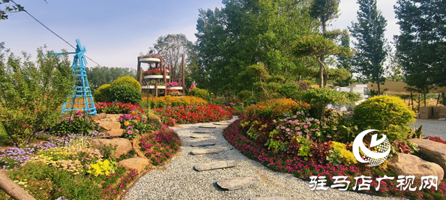 駐馬店驛城區(qū)魏莊村：百畝花?？楀\繡 文旅新篇引客來(lái)