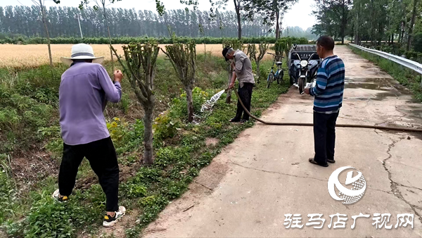 平輿縣李屯鎮(zhèn)：科學(xué)防范“干熱風(fēng)” 全力守護(hù)小麥生長