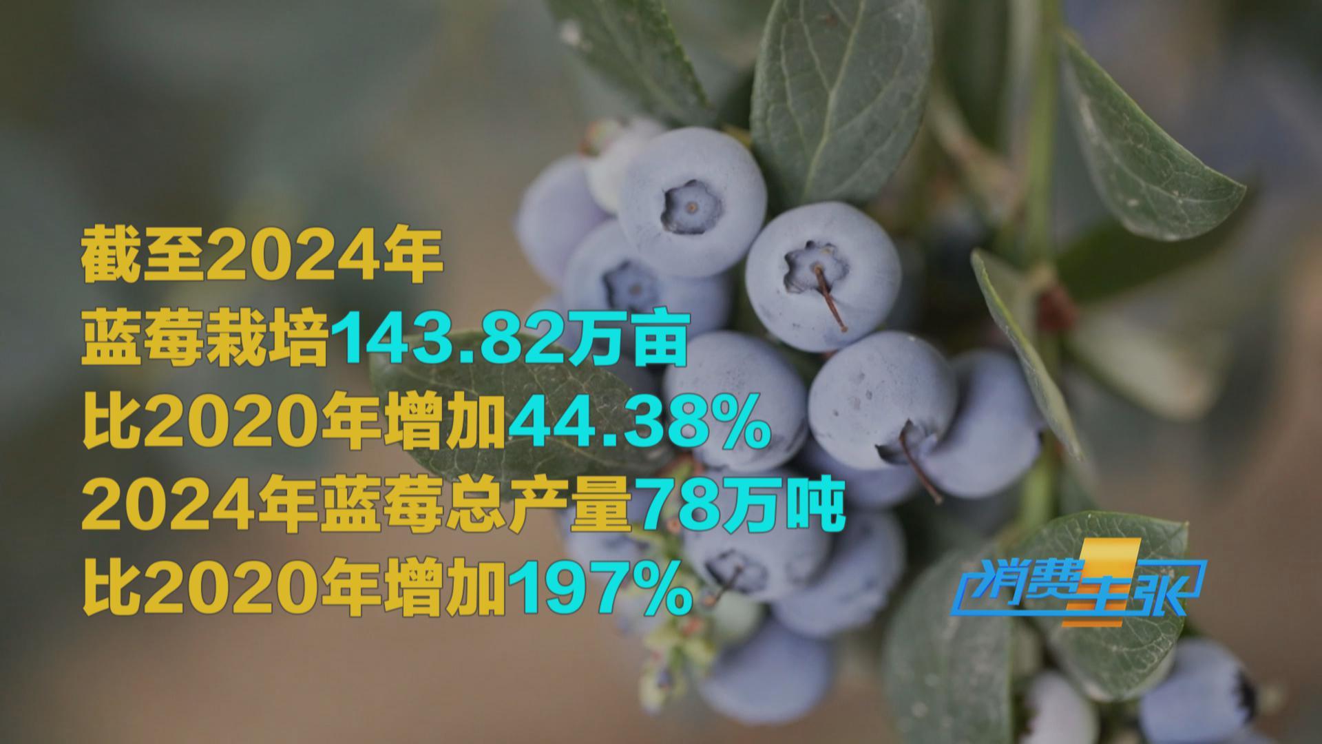榴蓮價(jià)格走低 首批國(guó)產(chǎn)“樹上熟”榴蓮也將上市！口感如何？