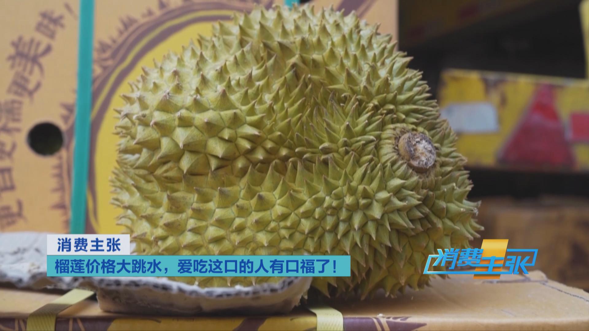 榴蓮價(jià)格走低 首批國(guó)產(chǎn)“樹上熟”榴蓮也將上市！口感如何？