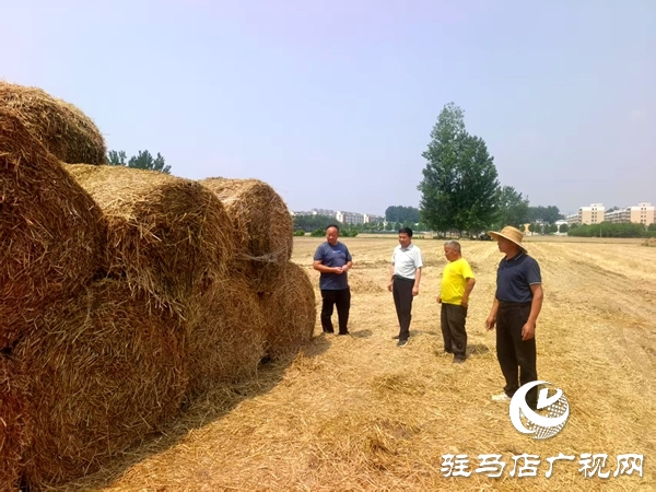 平輿縣東皇街道：變廢為寶 讓秸稈從“包袱”變“財(cái)富”