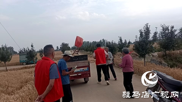 平輿縣廟灣鎮(zhèn)：“三夏”時(shí)節(jié)飄蕩“志愿紅”
