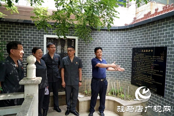 古槐樹下，“組團(tuán)”護(hù)綠——平輿縣人民法院聯(lián)合發(fā)布“司法保護(hù)令”
