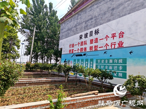 文明鄉(xiāng)風(fēng)潤(rùn)沃土——平輿縣辛店鄉(xiāng)韓坡村獲評(píng)第七屆全國(guó)文明村鎮(zhèn)紀(jì)實(shí)