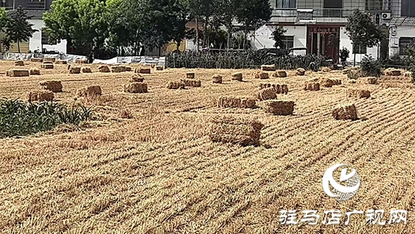 平輿縣東皇街道：變廢為寶 讓秸稈從“包袱”變“財(cái)富”