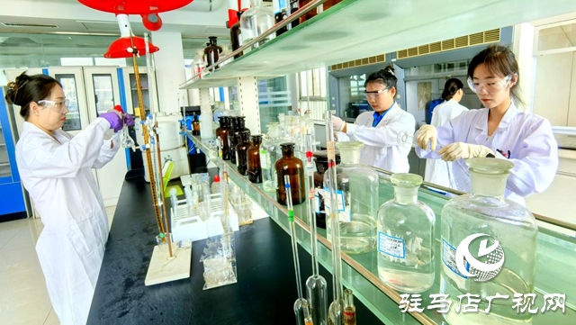 科技創(chuàng)新領(lǐng)航 政策賦能護(hù)航 駿化發(fā)展書(shū)寫高質(zhì)量發(fā)展新答卷