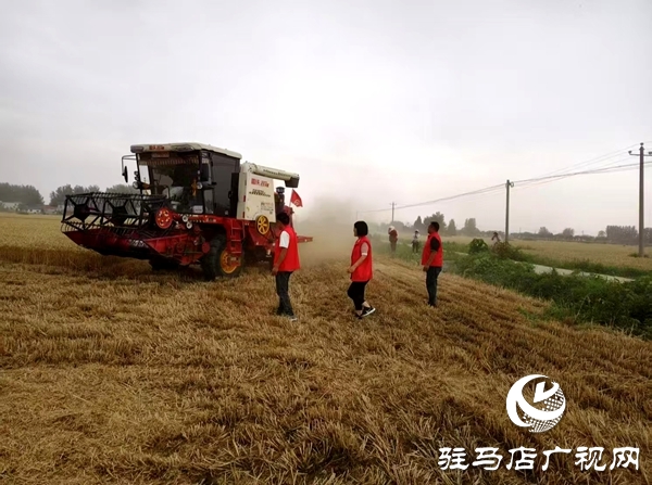 平輿縣廟灣鎮(zhèn)：志愿紅田間助農(nóng)搶收  黨群同心護(hù)航三夏