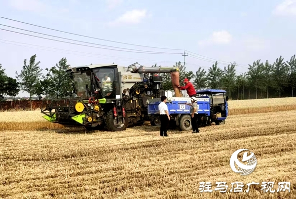 平輿縣民政局發(fā)揮駐村幫扶作用全力服務(wù)“三夏”生產(chǎn)