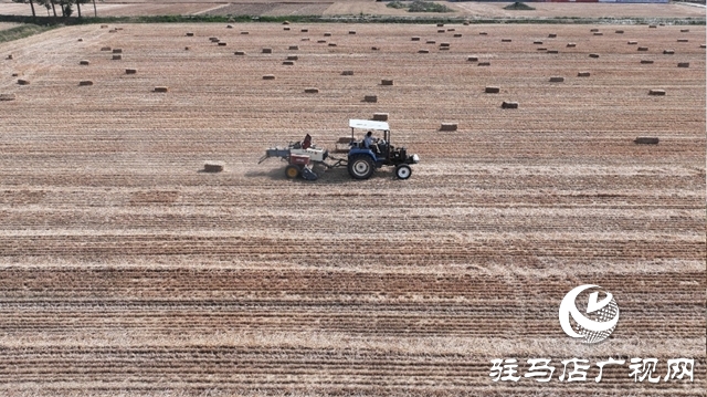 泌陽(yáng)縣：秸稈循環(huán)利用“變廢為寶”