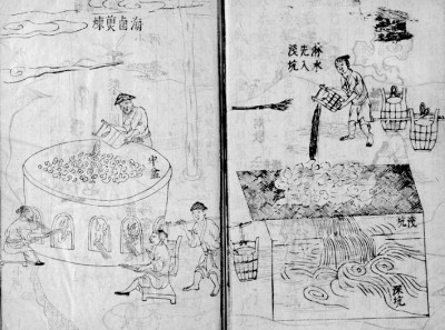 一粟一黍間見萬(wàn)年生存智慧