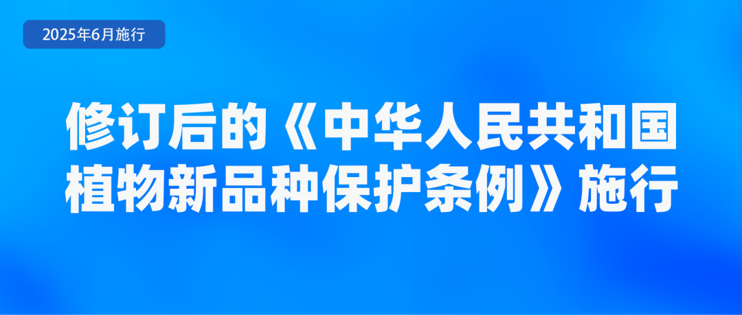 6月起，這些新規(guī)將影響你我生活！