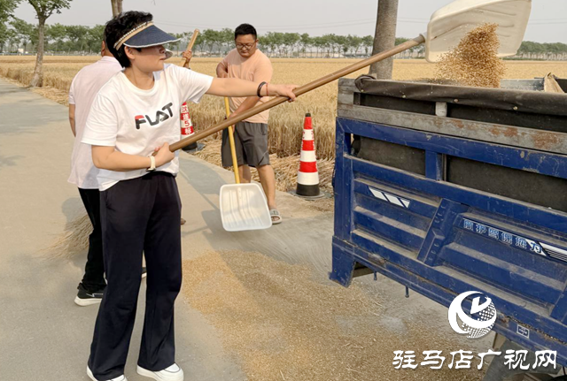 三夏搶收搶種忙 駐村工作隊一線顯擔當