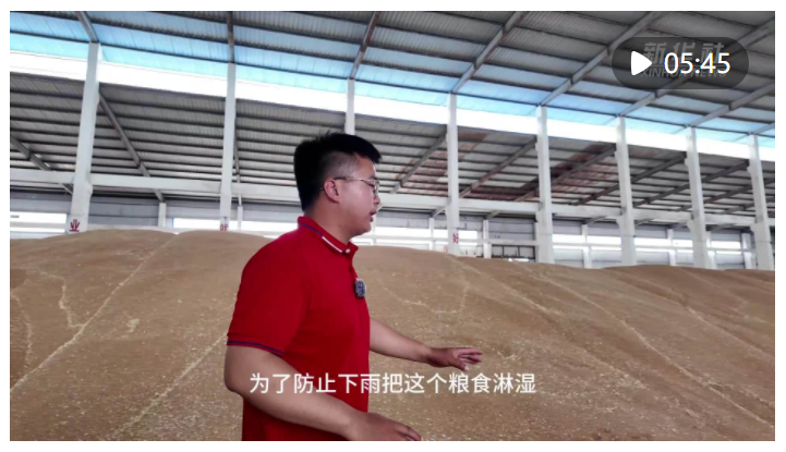 這群大學(xué)生通過(guò)“種養(yǎng)循環(huán)”助力小麥質(zhì)“升”量“高”