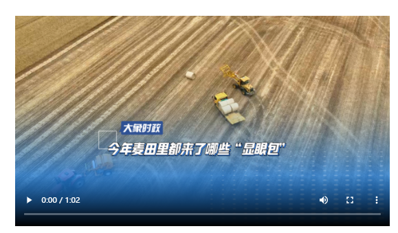 今年麥田里都來了哪些“顯眼包”