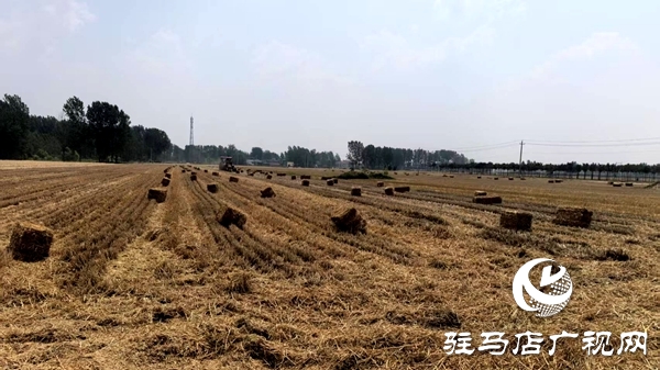 平輿縣辛店鄉(xiāng)上下齊心協力打出一套秸稈打捆“組合拳”