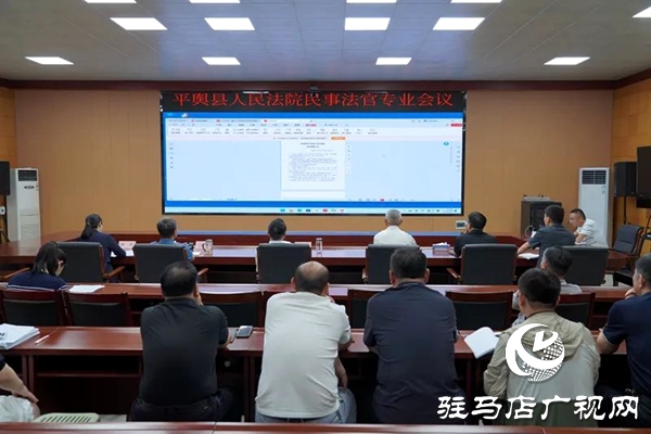平輿縣人民法院：以案為鑒“深剖析” 對“癥”施策提質效  