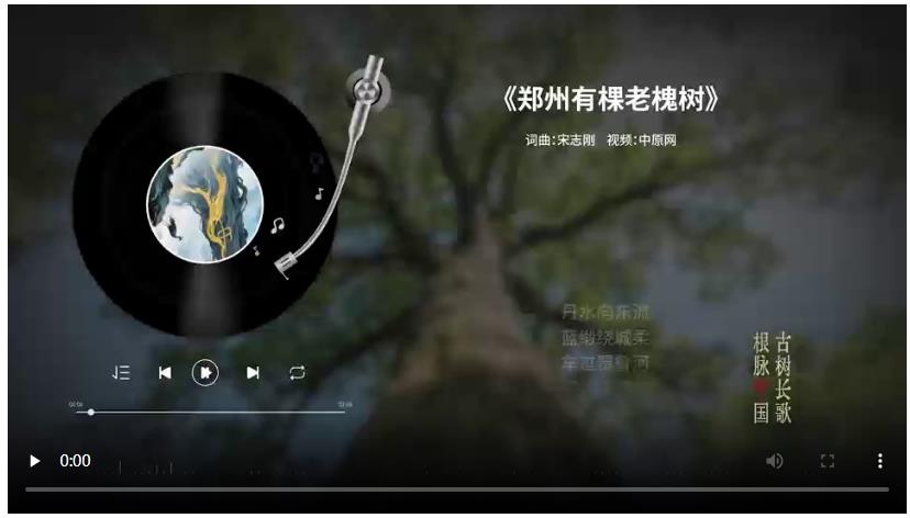 把古樹唱成歌，“古樹長歌”策劃引發(fā)“薦樹”熱潮