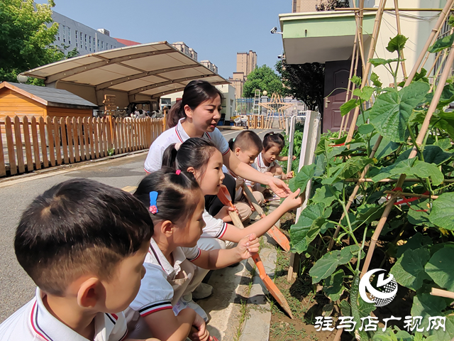 “育”見未來·名師風(fēng)采丨耿顯秋：以愛為舟 載夢童行