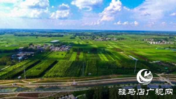 “全國(guó)文明城市”平輿縣以創(chuàng)新實(shí)踐書(shū)寫(xiě)文明答卷