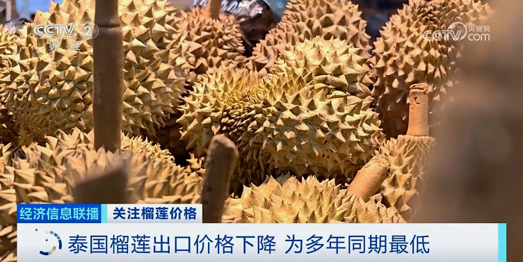 降！降！降！榴蓮多年來(lái)最低價(jià)的背后是這些原因→