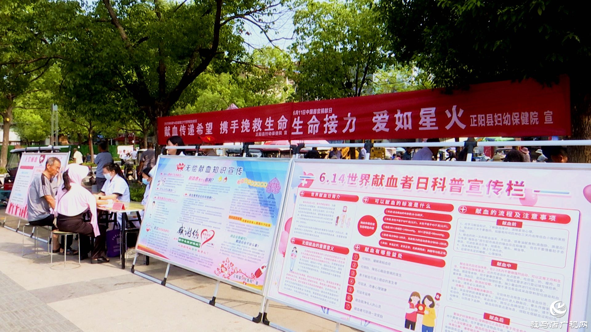 正陽縣：廣大黨員干部 愛心群眾踴躍參與無償獻血 奉獻愛心