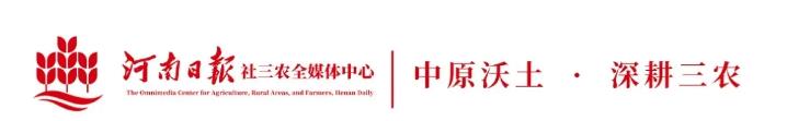 算算今年“三夏”賬