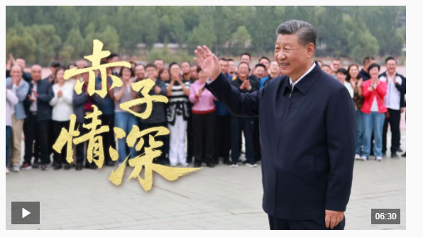 時(shí)政微視頻丨赤子情深