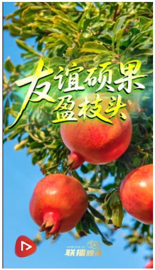 聯(lián)播+｜友誼碩果盈枝頭