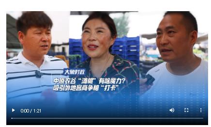 中原農(nóng)谷“灘桃”有啥魔力？ 吸引外地客商爭相“打卡”