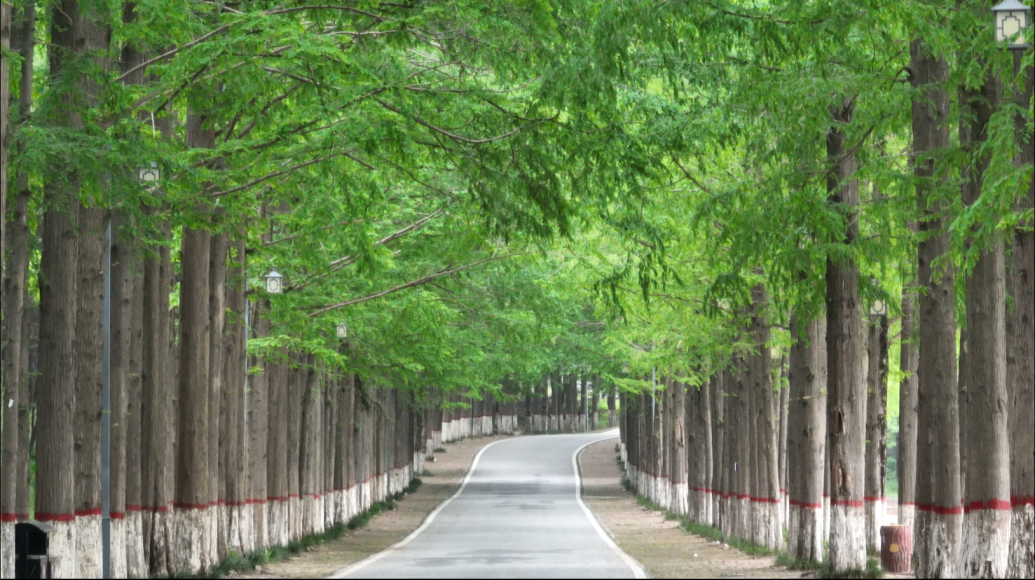 駐馬店夏日避暑勝地推薦→→帶你逃離高溫！
