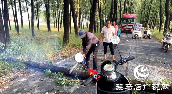 平輿縣：“接訴即辦”顯擔(dān)當(dāng)  熱線聯(lián)動速排道路險情