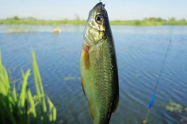 跟著文旅君玩轉(zhuǎn)駐馬店！探訪文化和心靈治愈之旅→