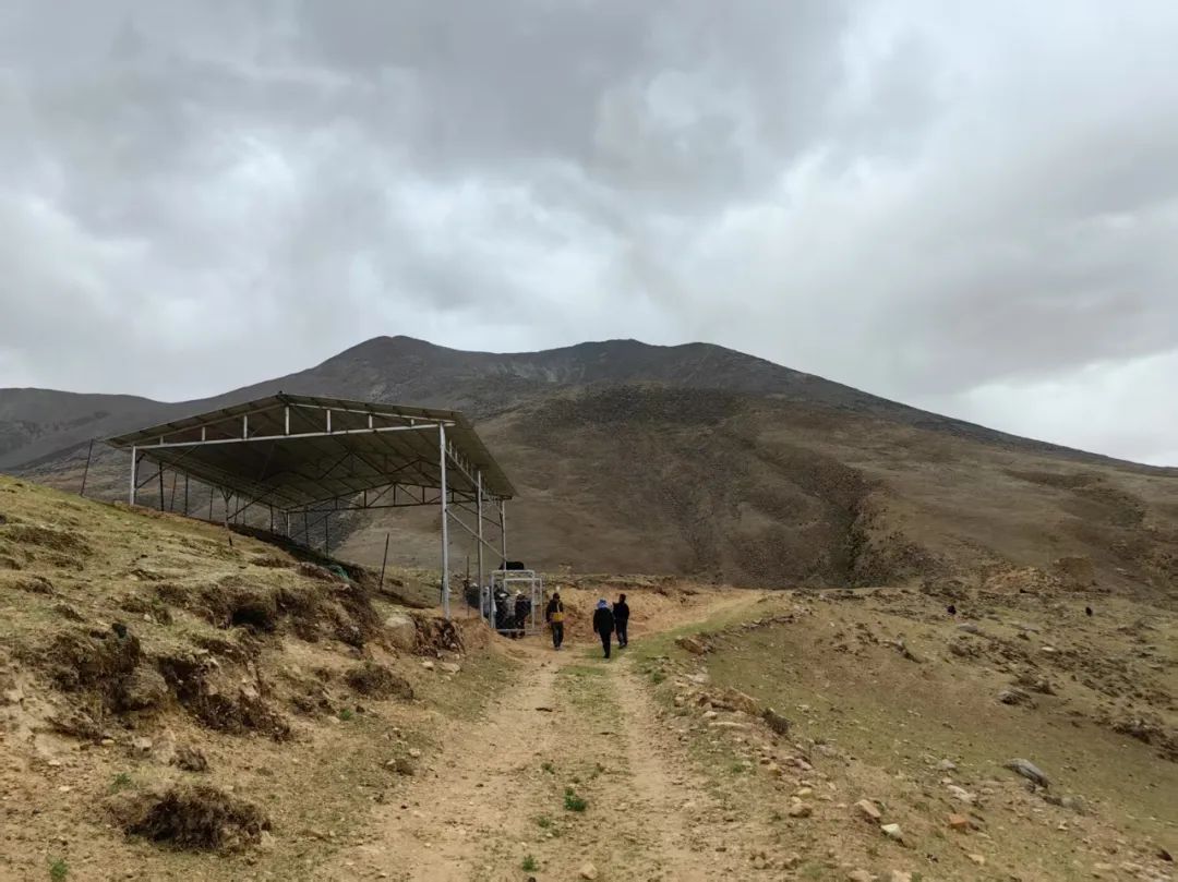 雪域瑰寶映文華 | 雪域高原上，用考古探索未知