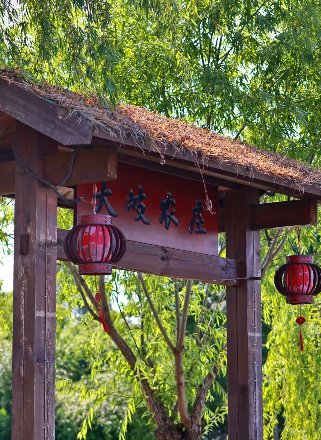 闖入夏日童話！上海近郊竟然有片23000㎡免費(fèi)浪漫花?！? /></p>
<p data-mce-style=