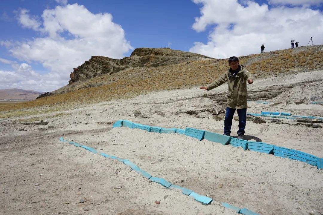 雪域瑰寶映文華 | 雪域高原上，用考古探索未知
