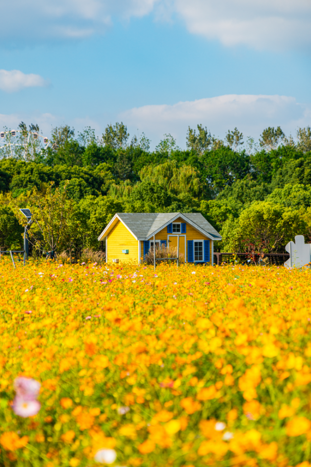 闖入夏日童話！上海近郊竟然有片23000㎡免費(fèi)浪漫花?！? /></p>
<p style=