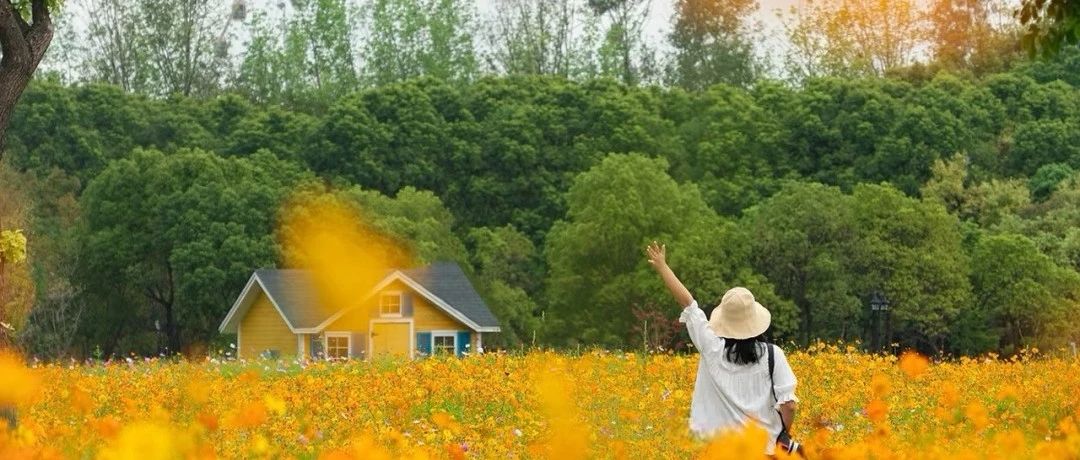 闖入夏日童話！上海近郊竟然有片23000㎡免費(fèi)浪漫花海→