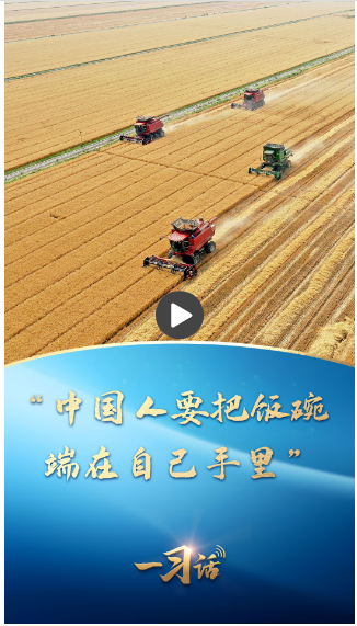 一習話｜“中國人要把飯碗端在自己手里”