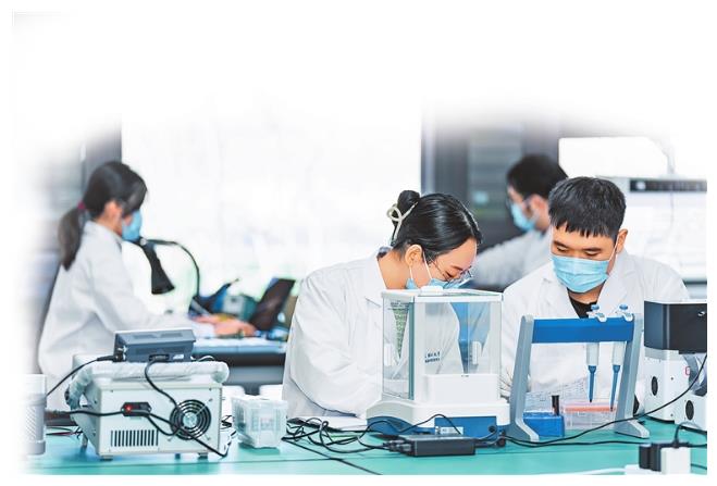 智引中原 豫見一流