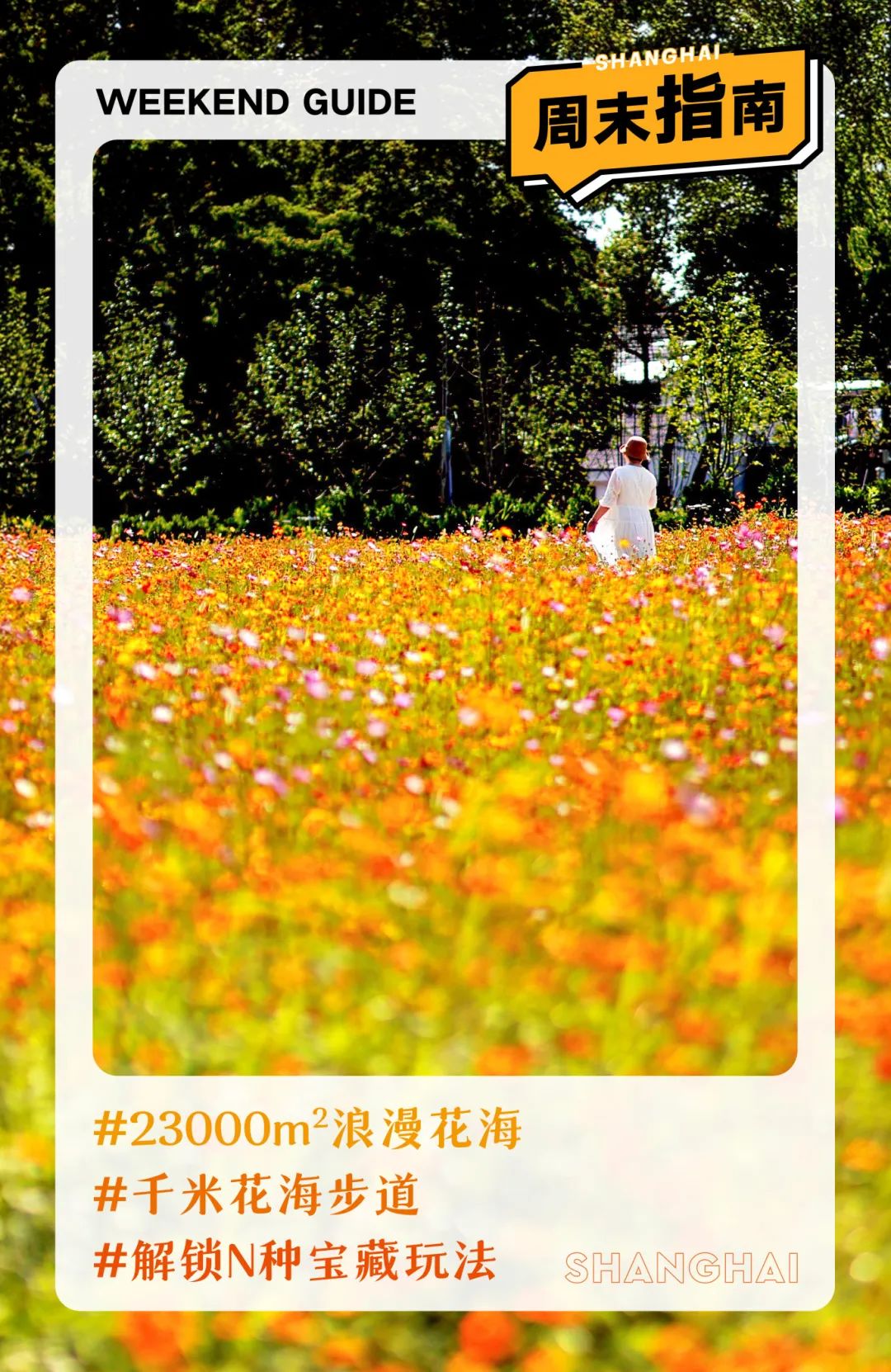 闖入夏日童話！上海近郊竟然有片23000㎡免費(fèi)浪漫花?！? /></p>
<p style=