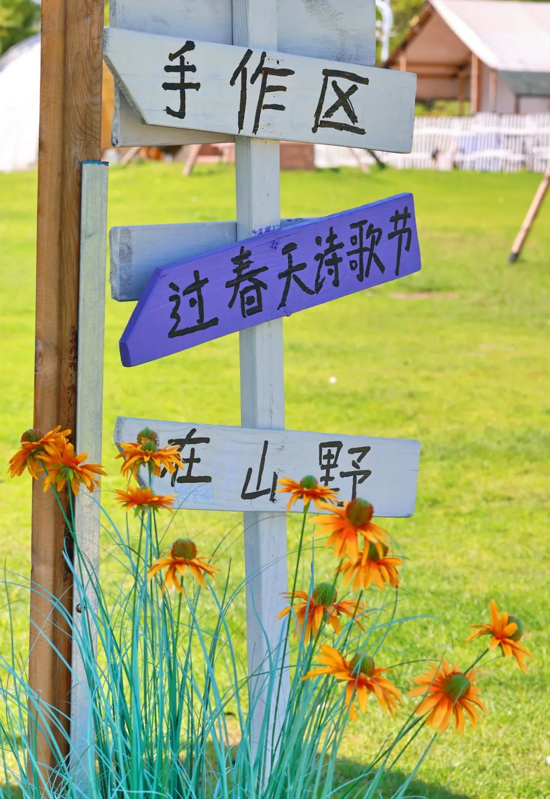 闖入夏日童話！上海近郊竟然有片23000㎡免費(fèi)浪漫花海→