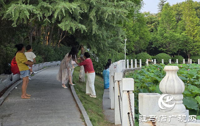 避暑首選！練江湖 置地公園為駐馬店市民送清涼
