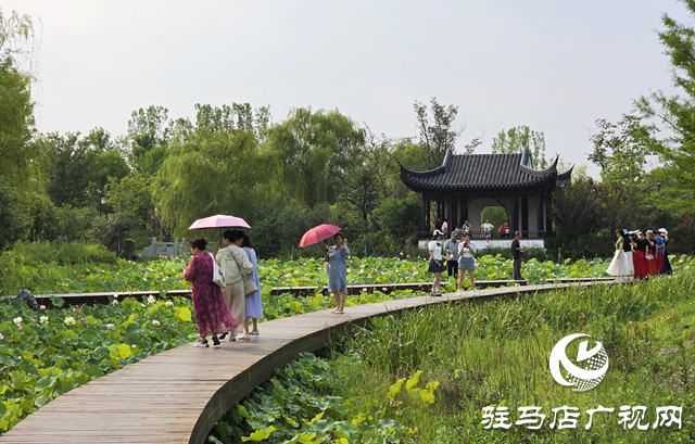 避暑首選！練江湖 置地公園為駐馬店市民送清涼